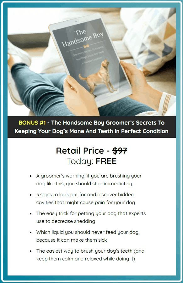 ultra k9 pro bonus 2